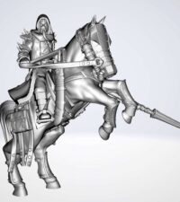 Cavalier du désert