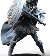 Amazone épée - bouclier - armure