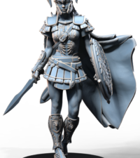 Amazone épée - bouclier - armure