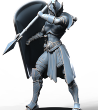 Amazone épée - lance - bouclier - armure