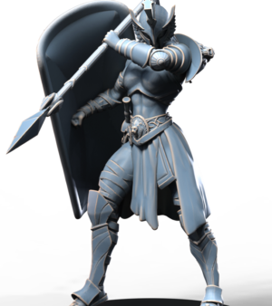 Amazone épée - lance - bouclier - armure