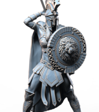 Amazone lance - bouclier - armure