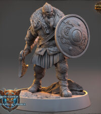 Viking hache - bouclier