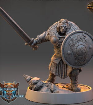 Viking épée - bouclier