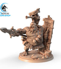 Ogre lance - bouclier et gobelin fusil