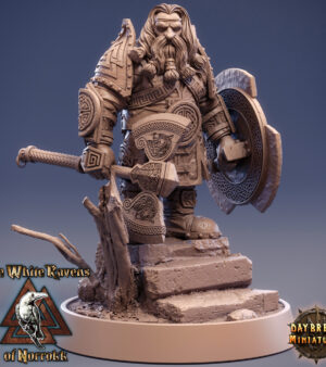 Nain hache - bouclier