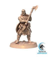 Héros viking hache - bouclier