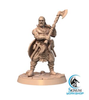 Héros viking hache - bouclier